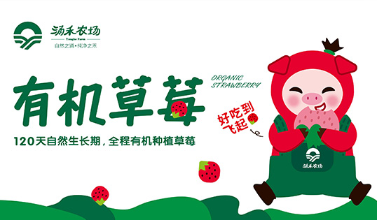 涌禾農(nóng)場有機(jī)草莓品牌全案策劃設(shè)計IP吉祥物設(shè)計
