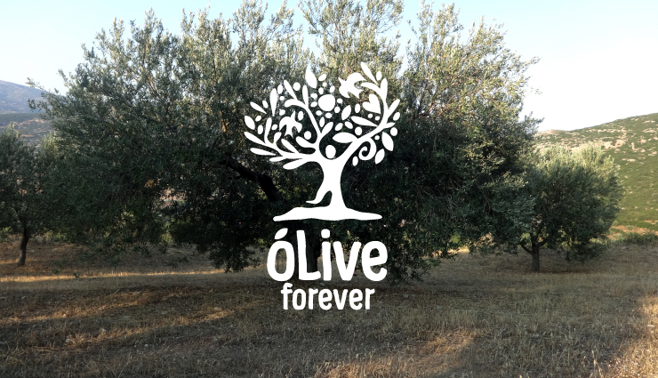 OLIVE FOREVER 橄欖油品牌設(shè)計(jì)白色應(yīng)用