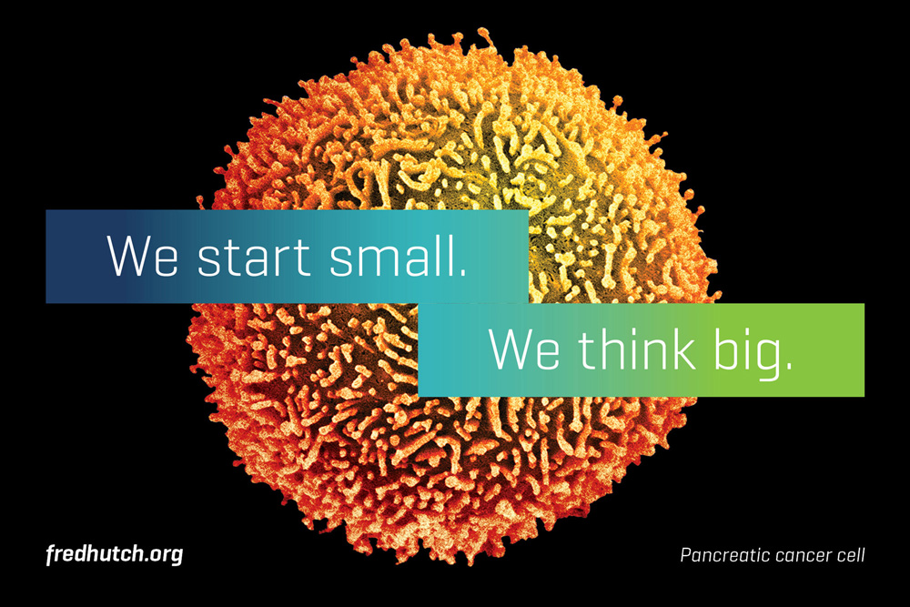 Fred Hutch 癌癥艾滋病疑難疾病研究治療中心（醫院）品牌形象設計-上海品牌標志設計公司6