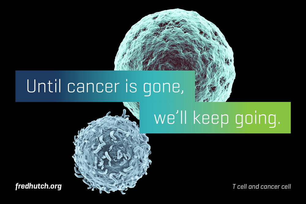 Fred Hutch 癌癥艾滋病疑難疾病研究治療中心（醫院）品牌形象設計-上海品牌標志設計公司7