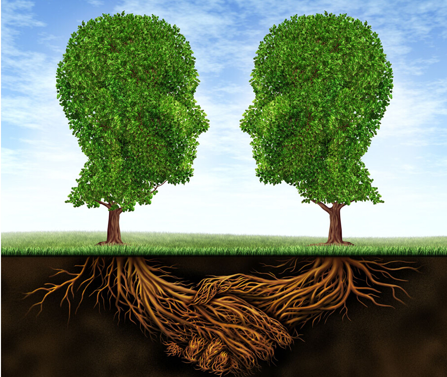 廣告創意設計，要善于利用“已知決定未知”的認知反應模式