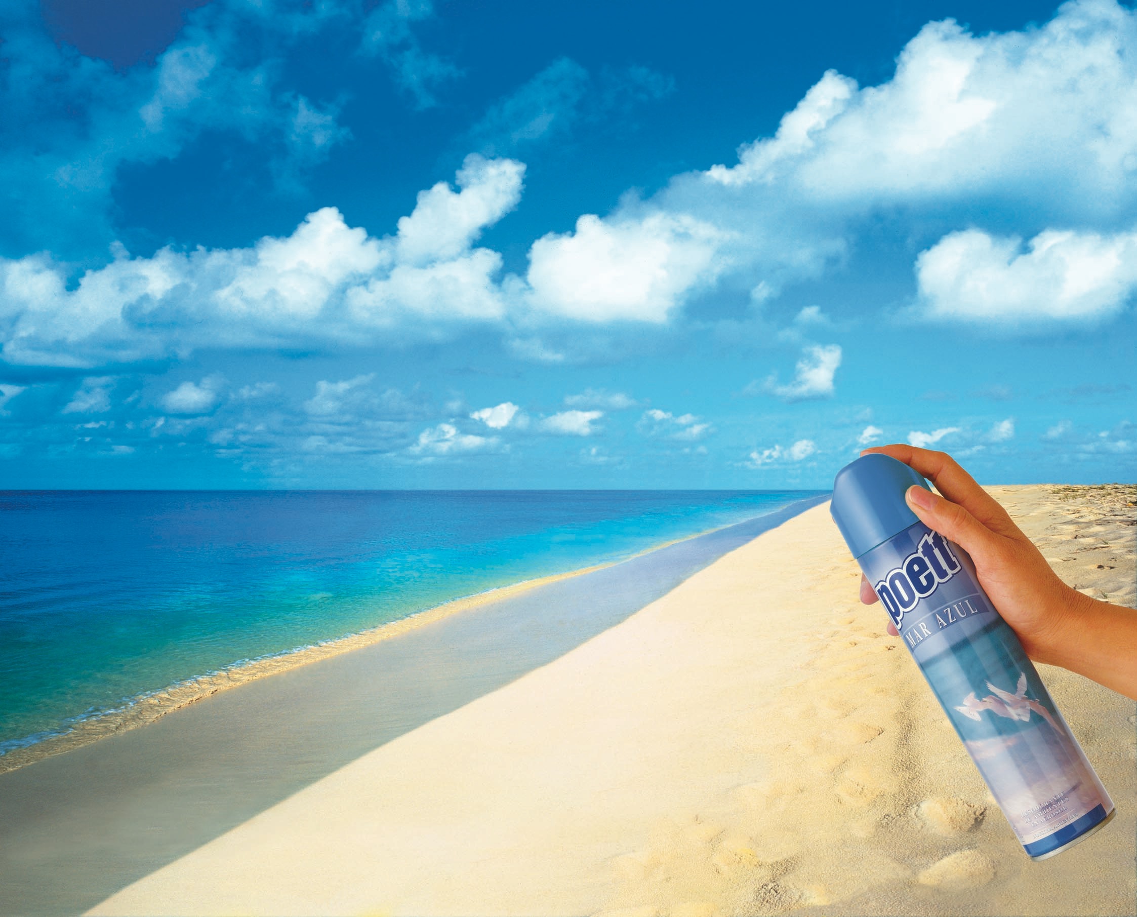 空氣清新劑廣告創(chuàng)意欣賞1