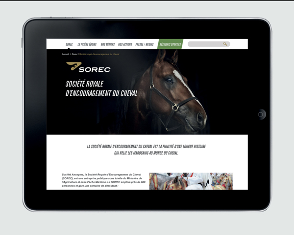 摩洛哥Sorec馬球馬術球會俱樂部品牌形象識別設計——網站設計