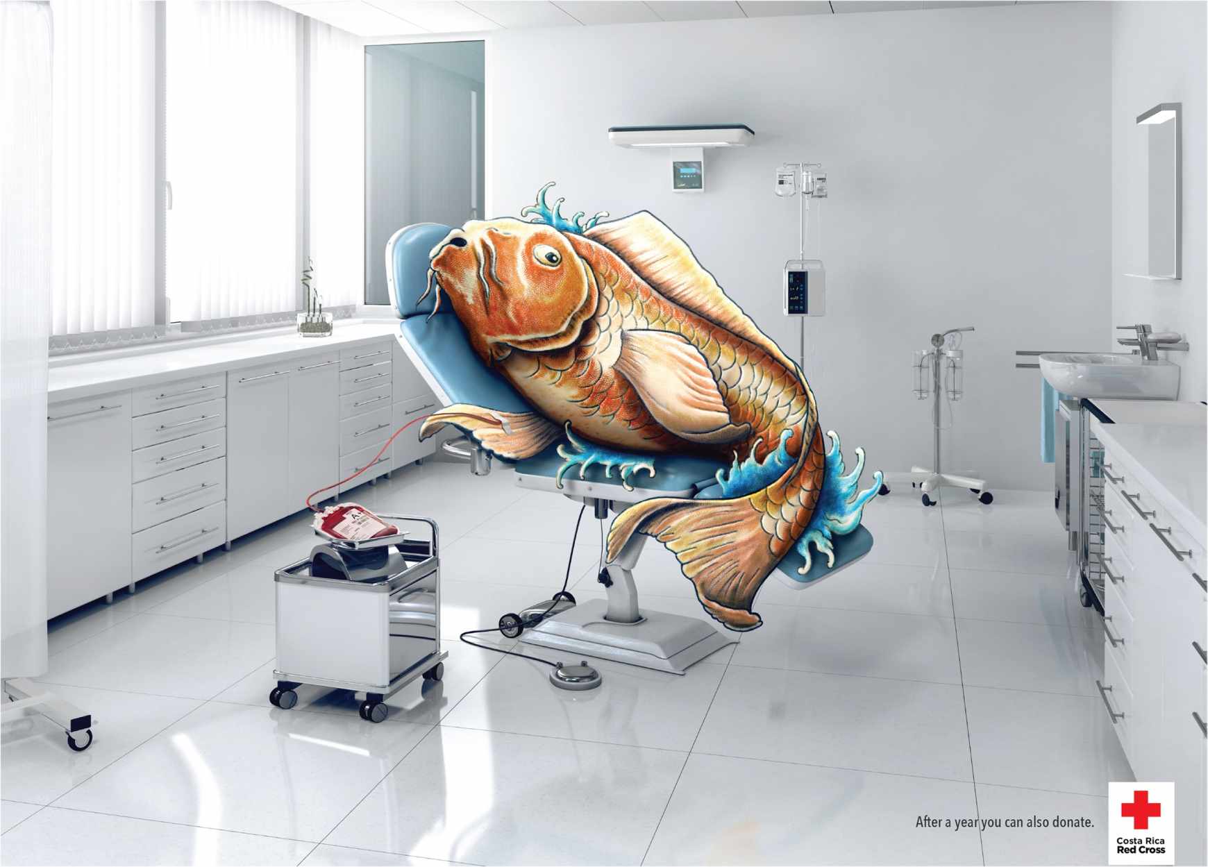 上海廣告設(shè)計(jì)公司——國(guó)際紅十字會(huì)獻(xiàn)血公益廣告設(shè)計(jì)欣賞-魚(yú)篇2