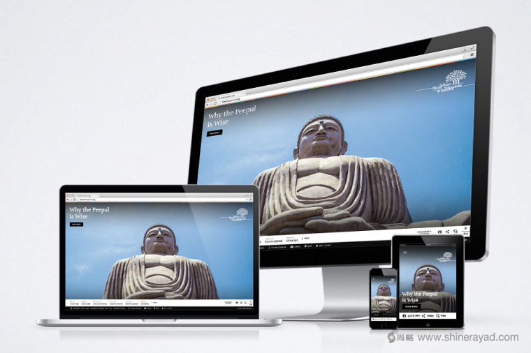 印度比哈爾歷史博物館LOGO設計VI設計-網站設計--上海LOGO設計公司設計鑒賞6
