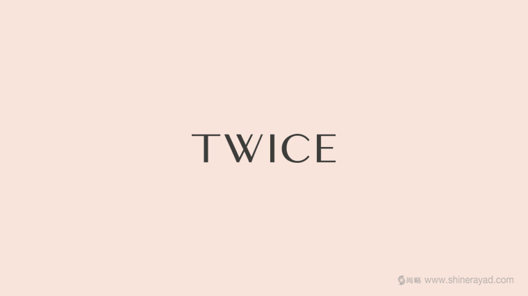 Twice 時尚配飾與皮包皮具LOGO設計-上海logo設計公司2