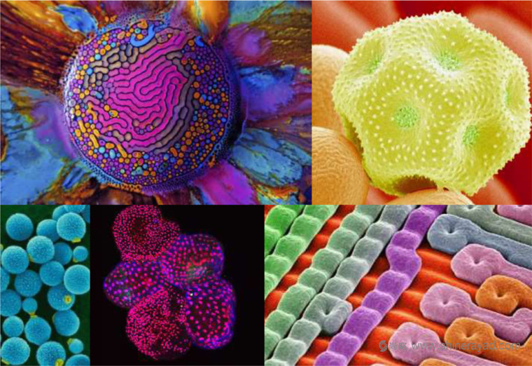 德國默克集團新英文文字商標LOGO設計-上海LOGO設計公司設計資訊4