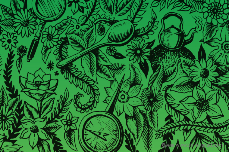 上海包裝設計公司設計欣賞：RISHI 鋁罐茶葉包裝設計-插畫設計5