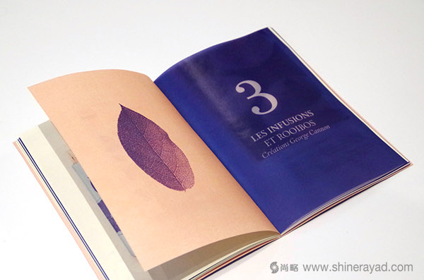Thés George Cannon 茶葉品牌宣傳畫冊設計-上海畫冊設計公司10