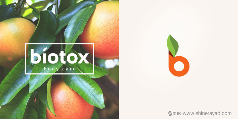 Biotox 天然水果有機護膚品標志設計4