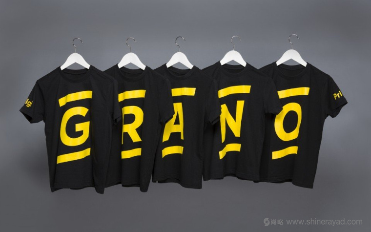 Grano 數(shù)字印刷公司IT科技品牌LOGO設計-上海LOGO設計公司設計鑒賞2