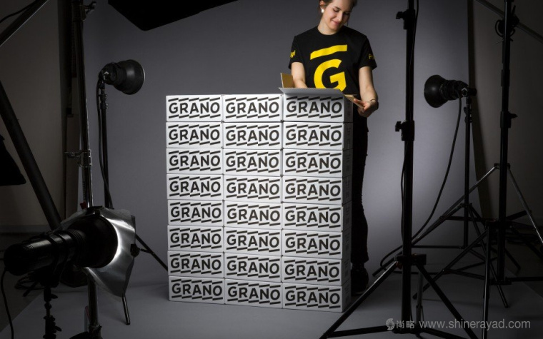 Grano 數(shù)字印刷公司IT科技品牌LOGO設計-上海LOGO設計公司設計鑒賞3