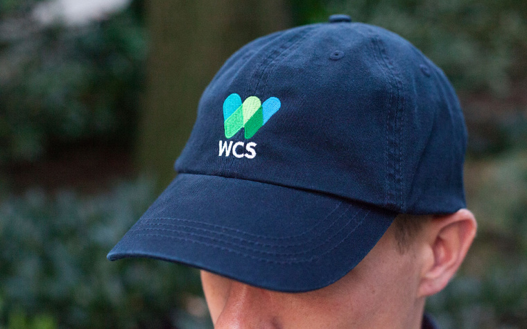 WCS國際野生生物保護學會品牌VI形象設計-上海VI設計公司7