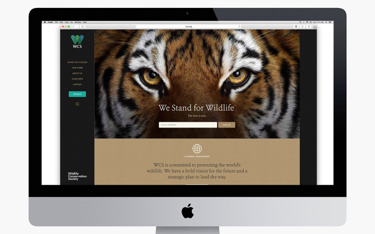 WCS國際野生生物保護學會品牌VI形象設計-網站設計--上海VI設計公司11