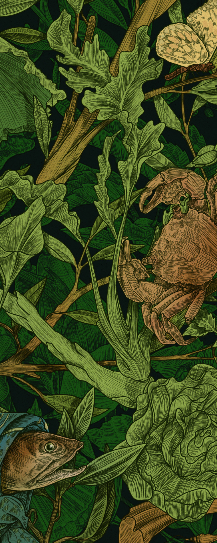 Botanique 餐廳植物鳥兒商業(yè)藝術插畫設計-上海品牌形象設計公司4