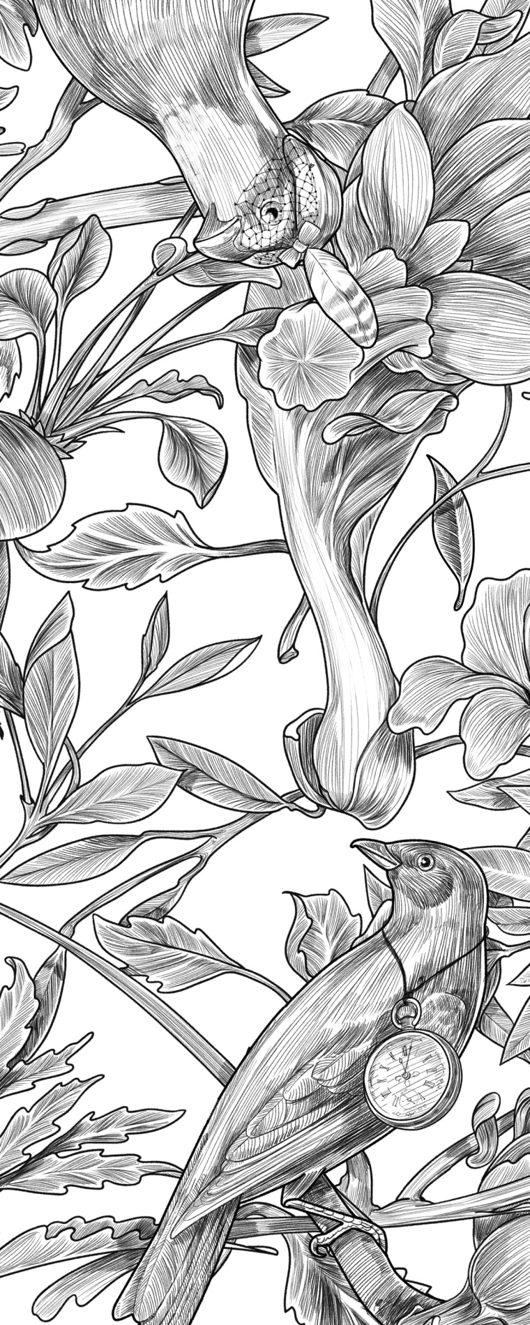 Botanique 餐廳植物鳥兒插畫設計-上海品牌形象設計公司6