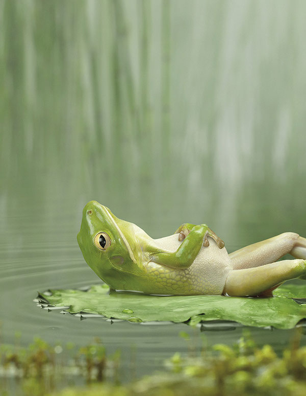 嗎丁啉Motilium胃藥“青蛙篇”平面廣告創(chuàng)意設(shè)計(jì)－尚略上海廣告設(shè)計(jì)公司2－特效畫面