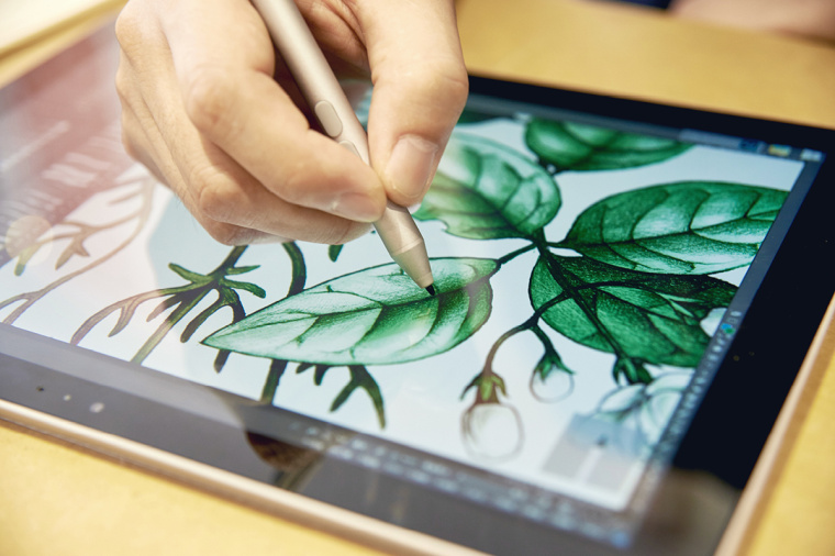 香圃芳香生活用品品牌手繪插畫設計25