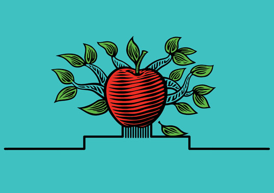 Cide蘋果酒梨子酒果酒包裝設計-水果插畫酒標設計-上海包裝設計公司設計品鑒4