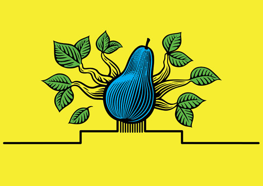 Cide蘋果酒梨子酒果酒包裝設計-水果插畫酒標設計-上海包裝設計公司設計品鑒6