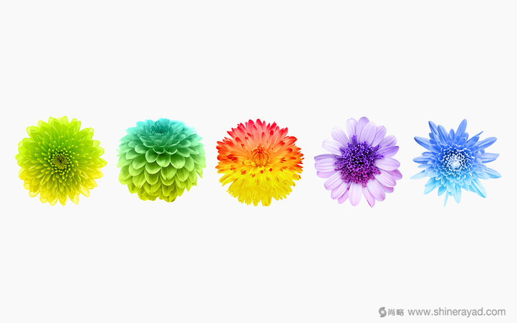 3上海包裝設計公司包裝欣賞-FOHATSU 日式花茶茶葉包裝設計-3