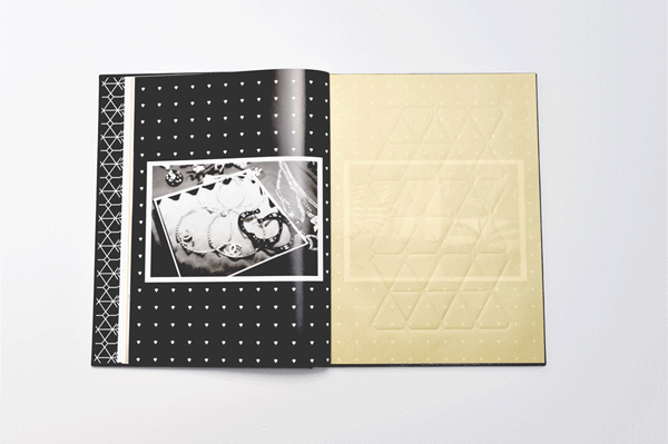 Erika Jayne 藝術攝影工作室燙金宣傳畫冊設計-上海畫冊設計公司佳作欣賞4