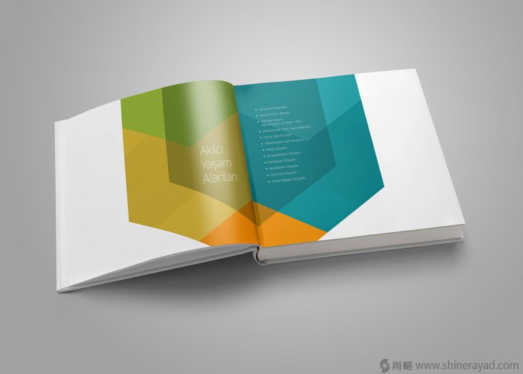 上海畫冊設(shè)計公司幾何圖形色塊畫冊設(shè)計版式欣賞-適合建筑咨詢IT科技行業(yè)和表現(xiàn)積極活力合作創(chuàng)新智慧的畫冊設(shè)計版式3
