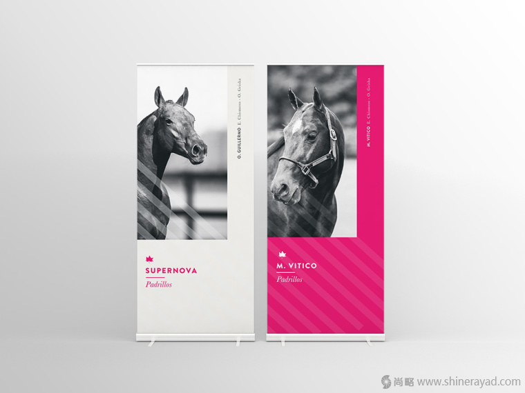 5.上海畫冊設計公司-Alegria 馬球協會宣傳畫冊設計欣賞