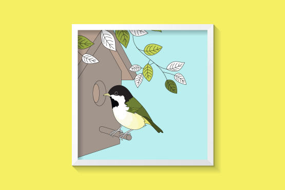 英國鳥類插畫設計-上海插畫設計公司-上海品牌設計公司4