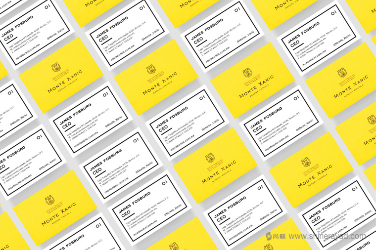 Monte Xanic 葡萄酒花朵商標設計品牌VI設計-上海品牌設計公司6