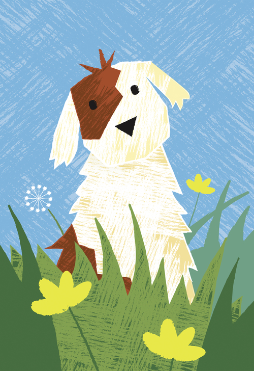 Bob Martin 寵物衛生護理用品品牌春天系列包裝設計-上海包裝設計公司7