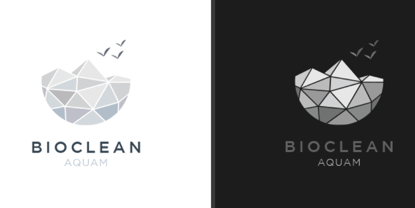 BIOCLEAN 旅游地產品牌形象設計vi設計2－標志設計