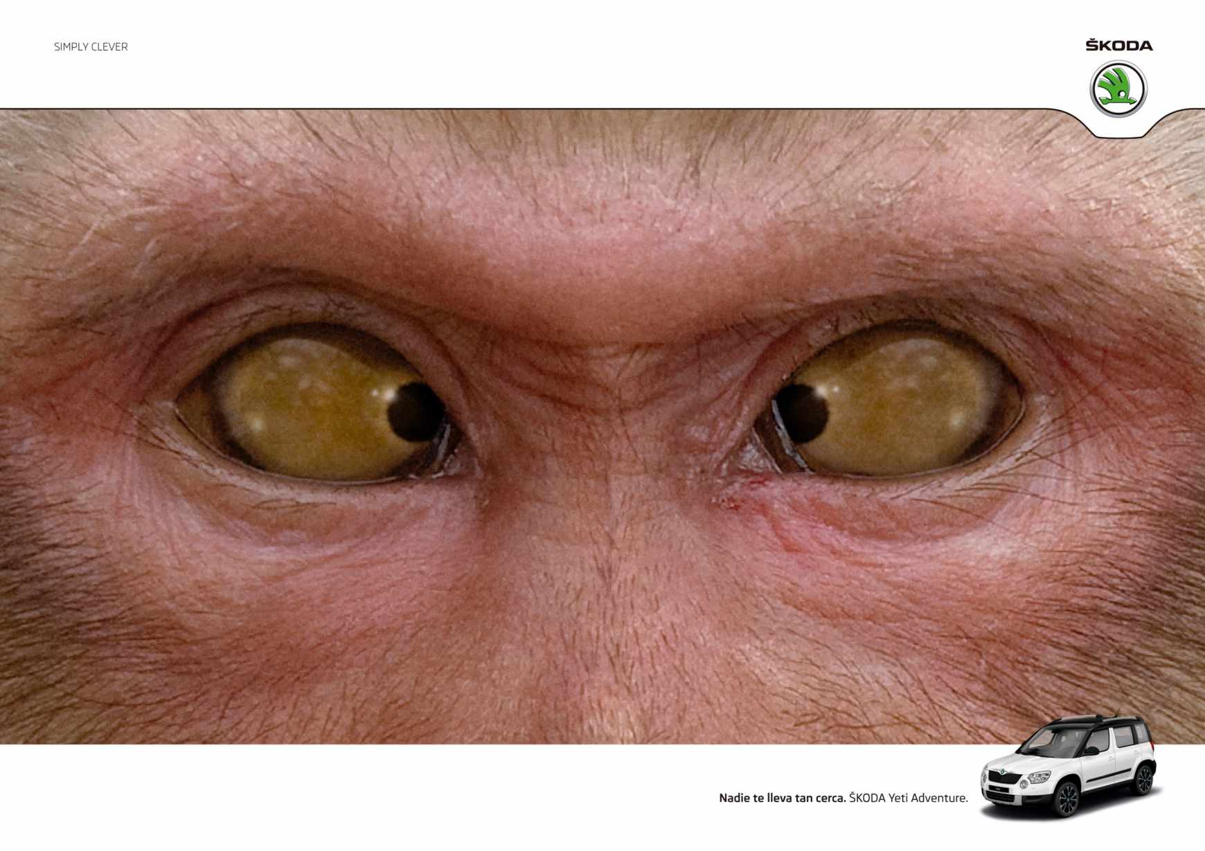 斯柯達汽車平面廣告創意設計佳作欣賞5