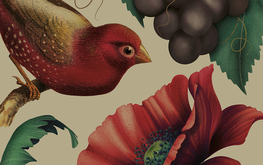 Pure Drops 紅酒包裝設計插畫版-上海包裝設計公司國外包裝設計欣賞6