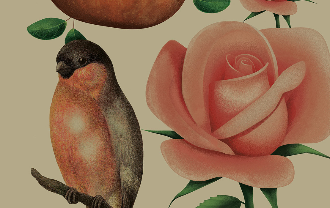 Pure Drops 紅酒包裝設計插畫版-上海包裝設計公司國外包裝設計欣賞8