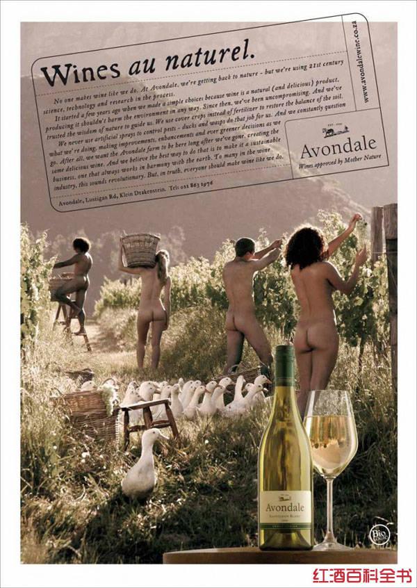 SLO Down葡萄酒平面廣告創意設計2