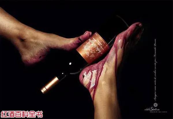 A BelaSintra葡萄酒平面廣告創意設計1