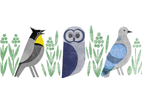 上海包裝設(shè)計公司分享TWEET 沖泡涼茶包裝設(shè)計-3