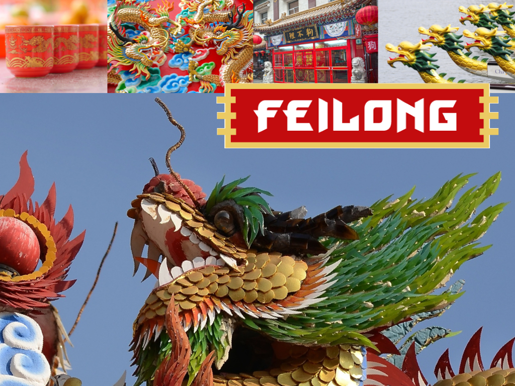 上海包裝設計公司設計欣賞：喜力飛龍啤酒包裝設計2-設計元素來源