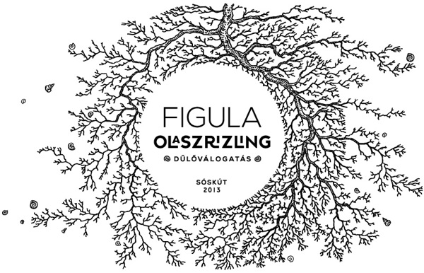 Figula 葡萄酒葡萄藤黑色線條包裝設計-上海包裝設計公司設計欣賞2