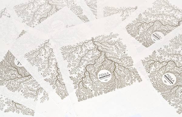 Figula 葡萄酒葡萄藤黑色線條包裝設計-上海包裝設計公司設計欣賞11