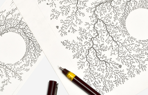 Figula 葡萄酒葡萄藤黑色線條包裝設計-上海包裝設計公司設計欣賞12