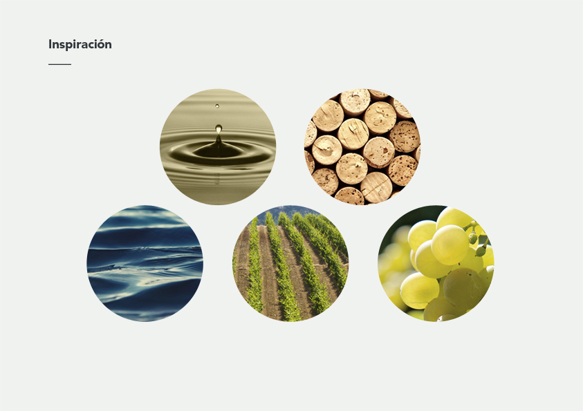 Condes de Albarei 葡萄酒莊logo設(shè)計3