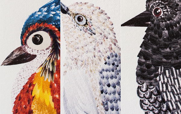 上海包裝設計公司分享 tre?tea 茶葉鳥系列包裝設計2