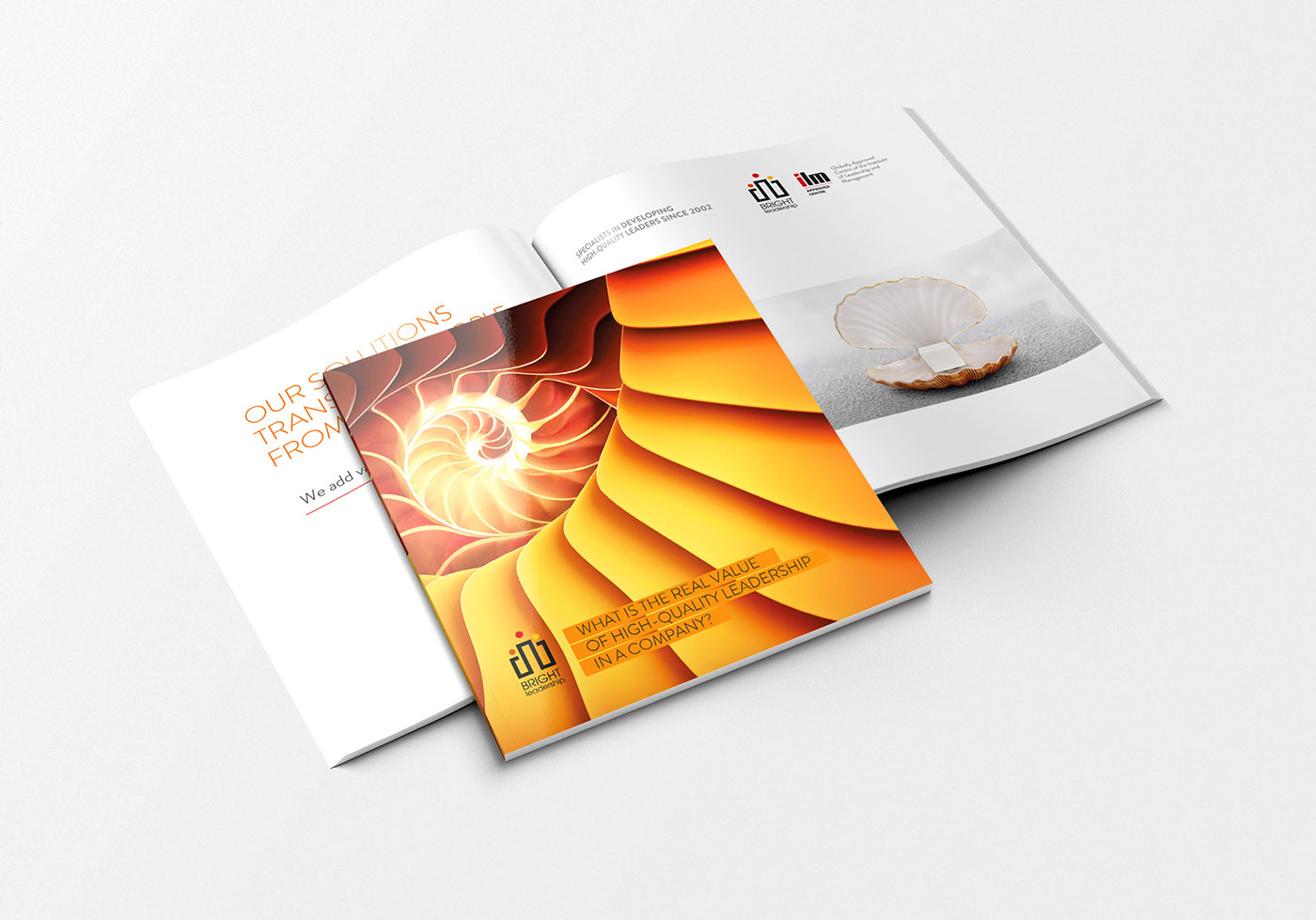 Bright 營銷咨詢公司品牌宣傳畫冊設(shè)計(jì)2
