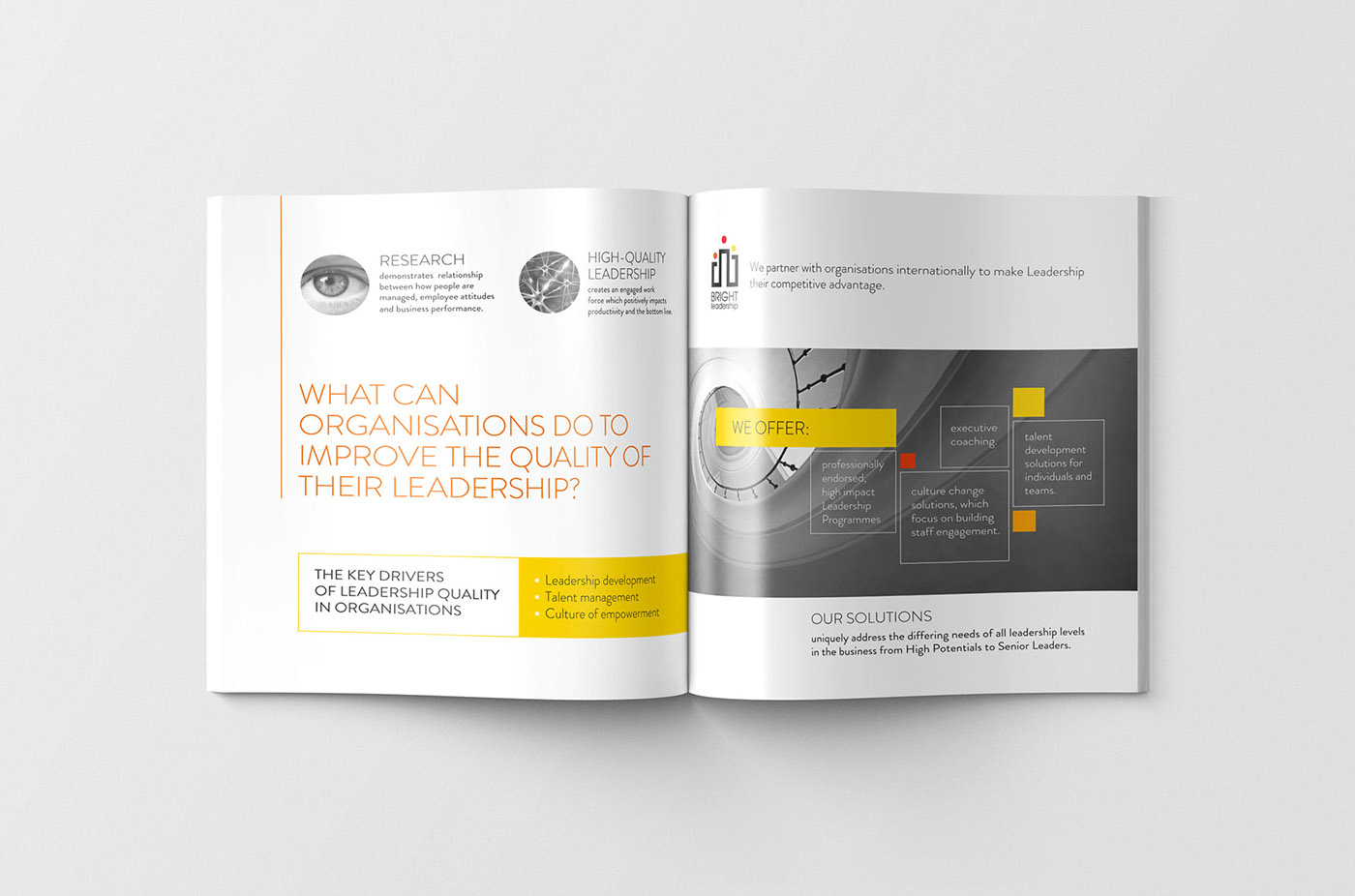 Bright 營銷咨詢公司品牌宣傳畫冊設(shè)計(jì)4