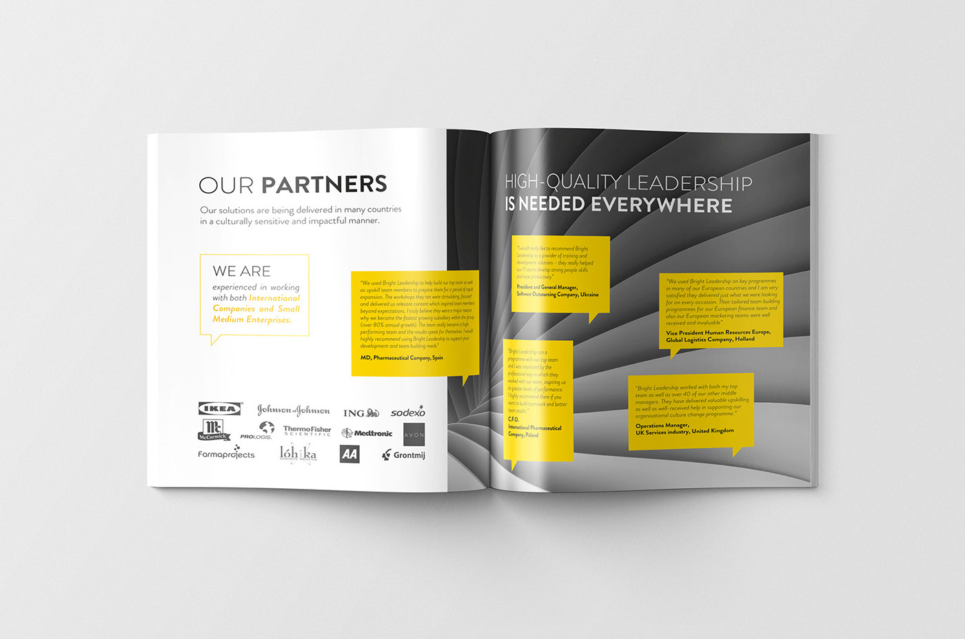 Bright 營銷咨詢公司品牌宣傳畫冊設(shè)計(jì)5