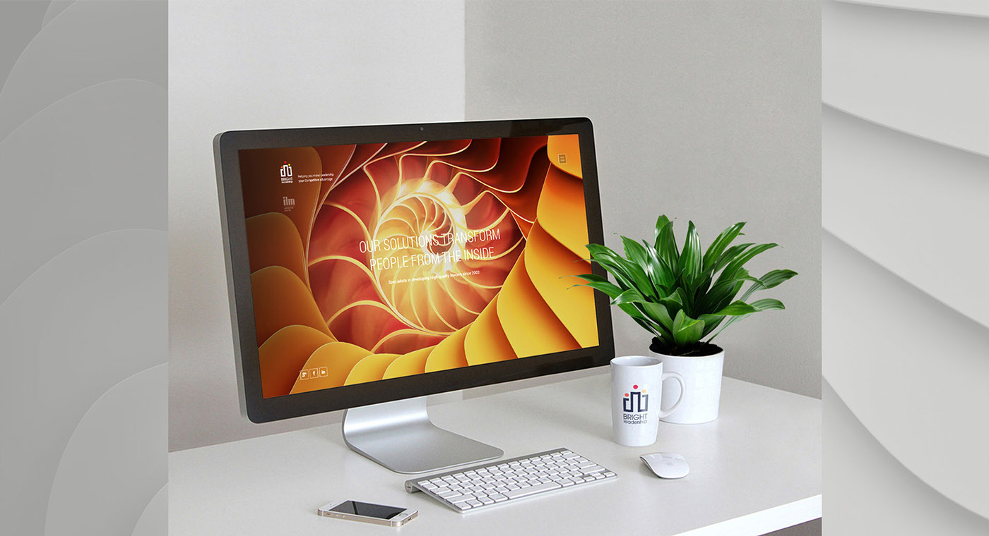 Bright 營銷咨詢公司品牌視覺形象設(shè)計(jì)-網(wǎng)站界面設(shè)計(jì)6