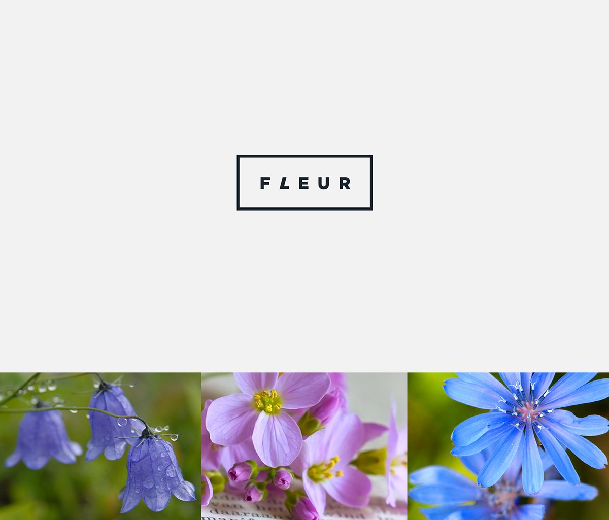 FLEUR化妝品品牌標志設計1