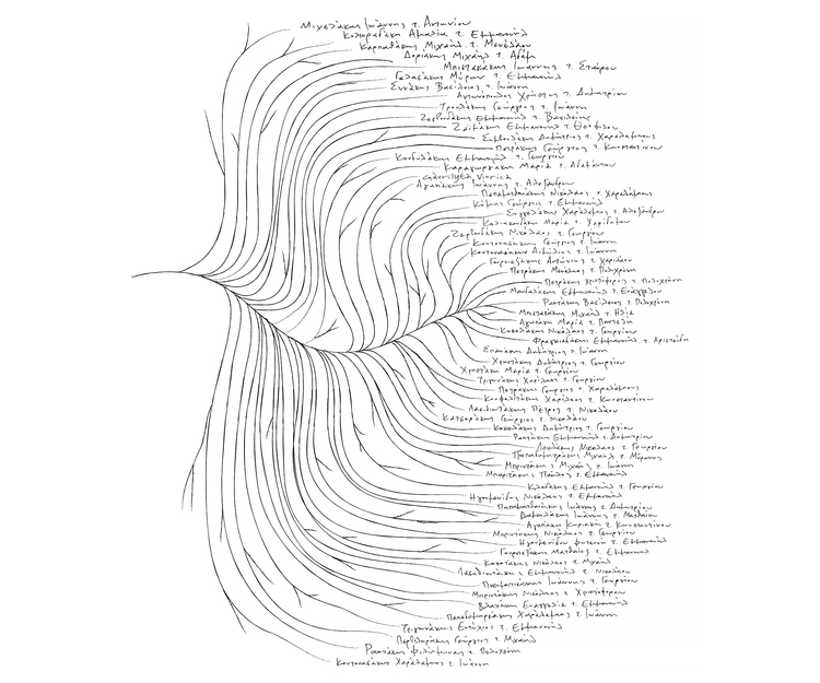 Viannos橄欖油樹形包裝設計主視覺圖形2